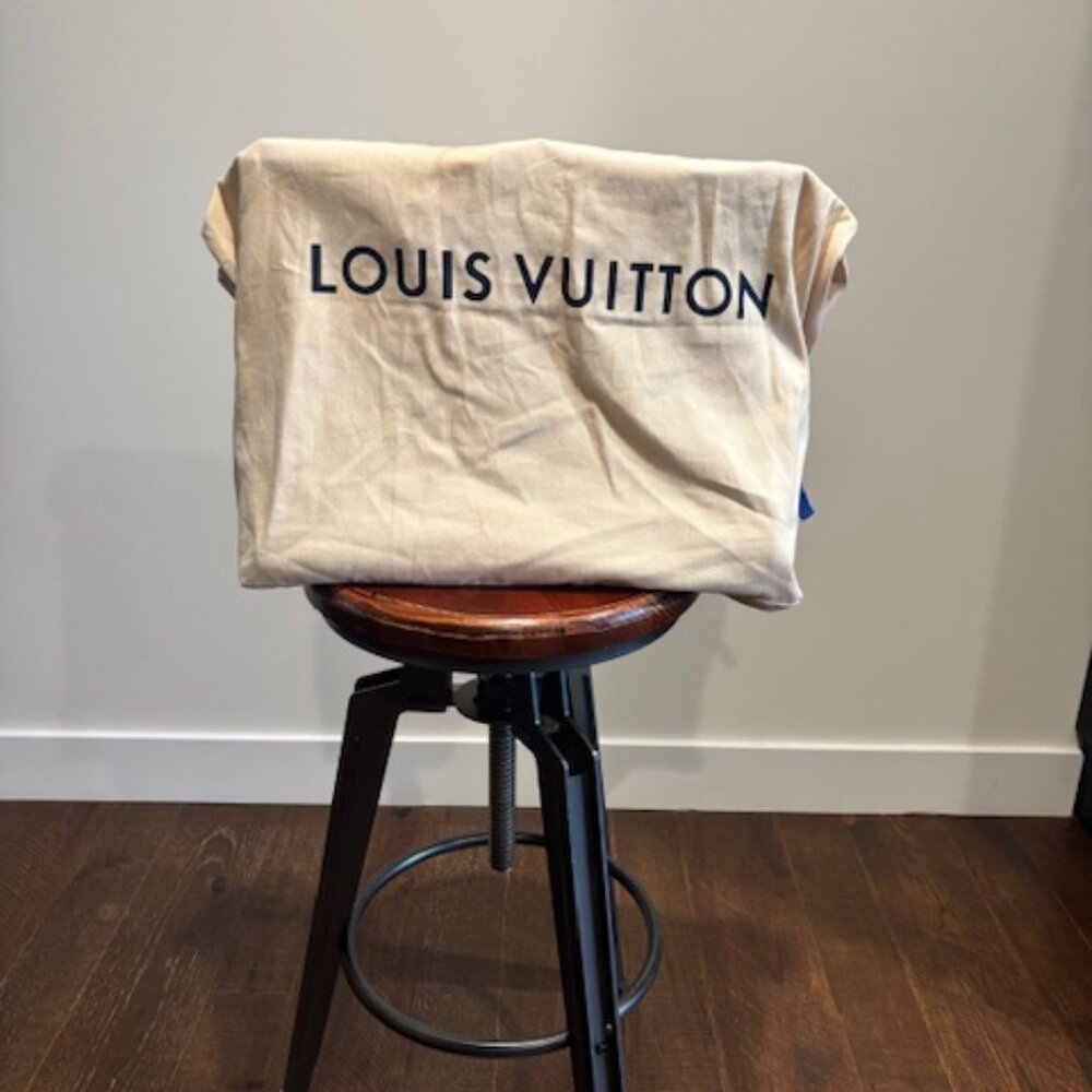 Louis Vuitton Handbag